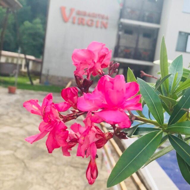 ריבריקה Family Hotel Virgin מראה חיצוני תמונה