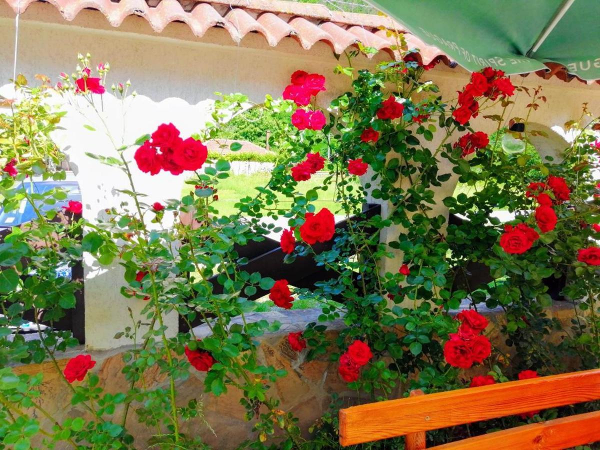 ריבריקה Family Hotel Virgin מראה חיצוני תמונה